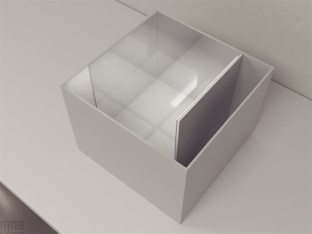 Mirror Chamber Test - Behavioral Mazes