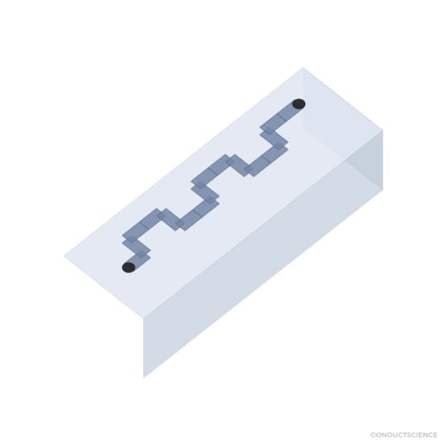 PDMS microfluidic chip 3D visualization - S-Type Hybrid channel, 100 um, PDMS-PDMS