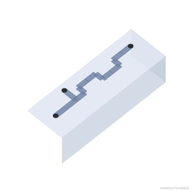 PDMS microfluidic chip 3D visualization - T-Junction channel, 100 um, PDMS-PDMS