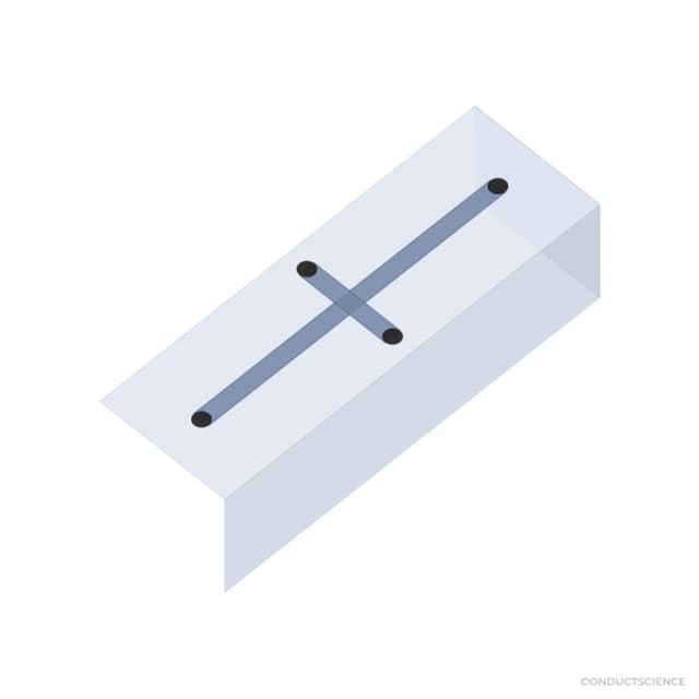 PDMS microfluidic chip 3D visualization - Cross channel, 100 um, PDMS-PDMS