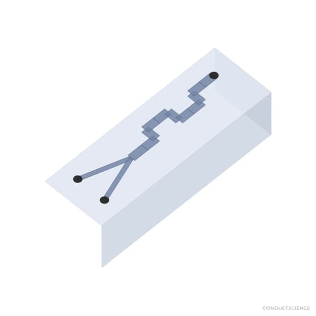PDMS microfluidic chip 3D visualization - Focusing channel, 100 um, PDMS-PDMS