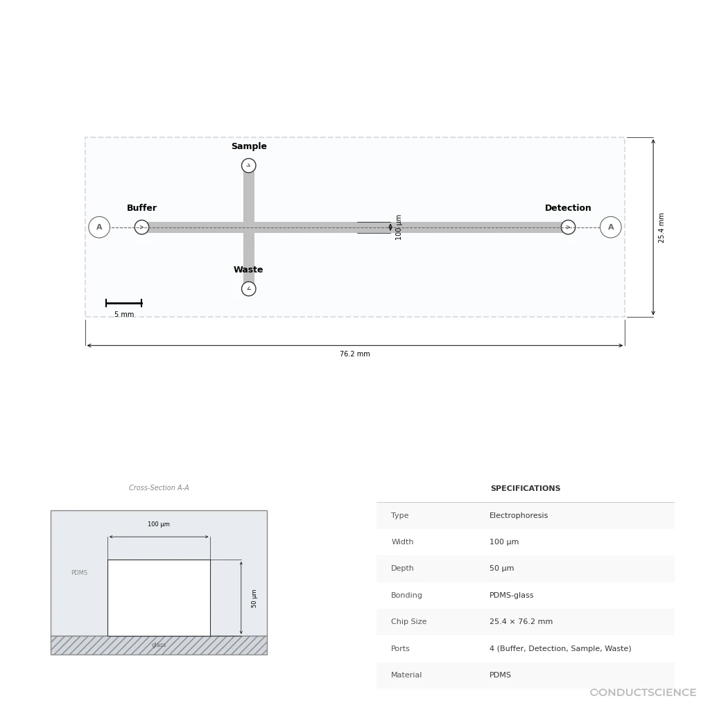 Dual-Purpose Cross Electrophoresis Chip