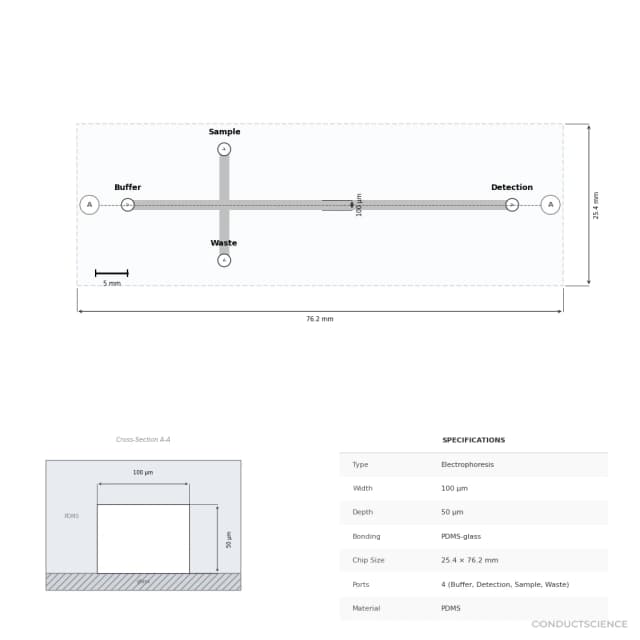 Dual-Purpose Cross Electrophoresis Chip - Technical Diagram