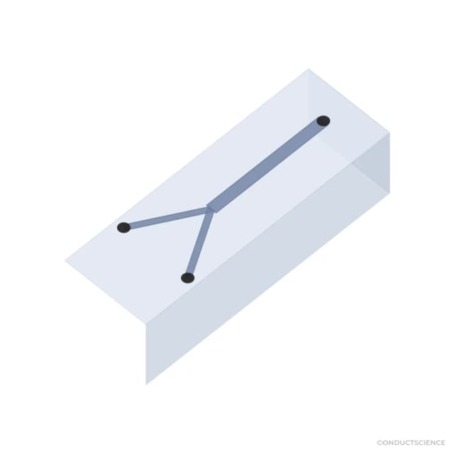 PDMS microfluidic chip 3D visualization - Y-Junction channel, 100 um, PDMS-PDMS