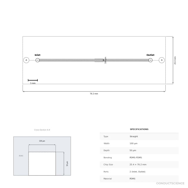 PDMS Chip (PMMA Mold Process) - Technical Diagram