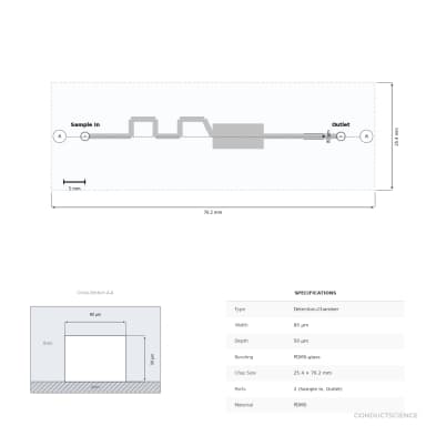 Small Molecule Detection Chip (80 um) - Technical Diagram