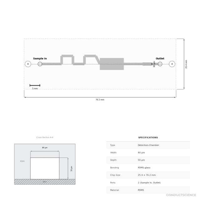Small Molecule Detection Chip (80 um) - Technical Diagram