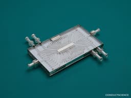 Microfluidic Chips