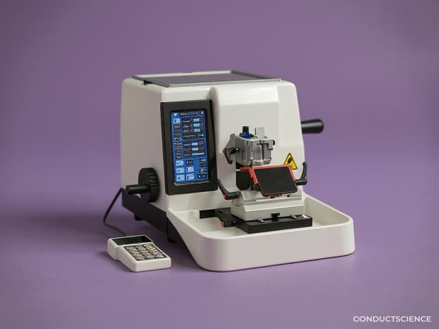 Pathology & Histology