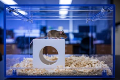 ConductNest Behavioral Monitoring System