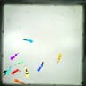 ConductVision Zebrafish Package