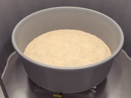 Dry Morris Water Maze - Behavioral Mazes