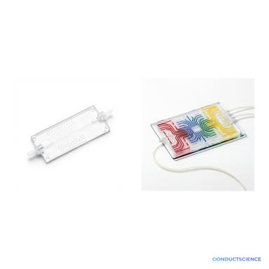 Microfluidic Chip Evaluation Sample Pack - 2-unit showing channel detail and multi-lane configuration