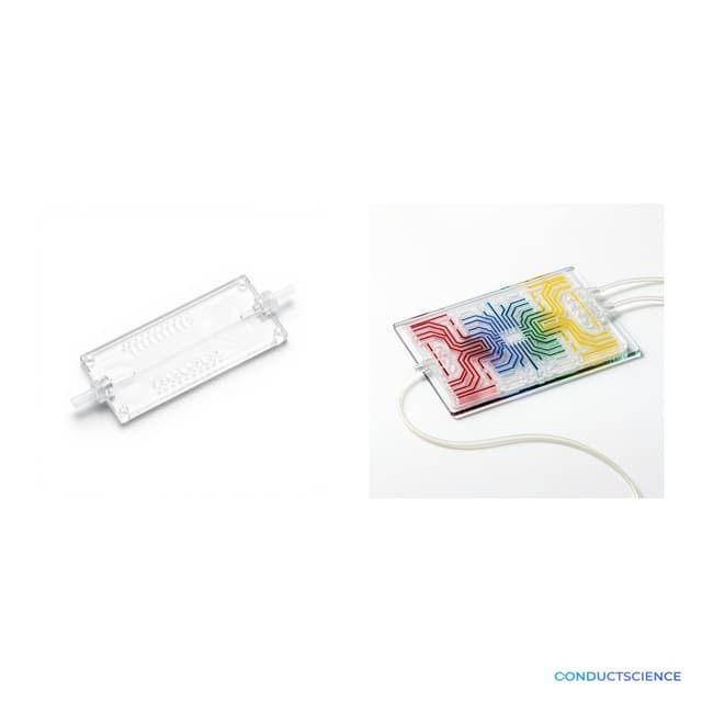 Microfluidic Chip Evaluation Sample Pack - 2-unit showing channel detail and multi-lane configuration