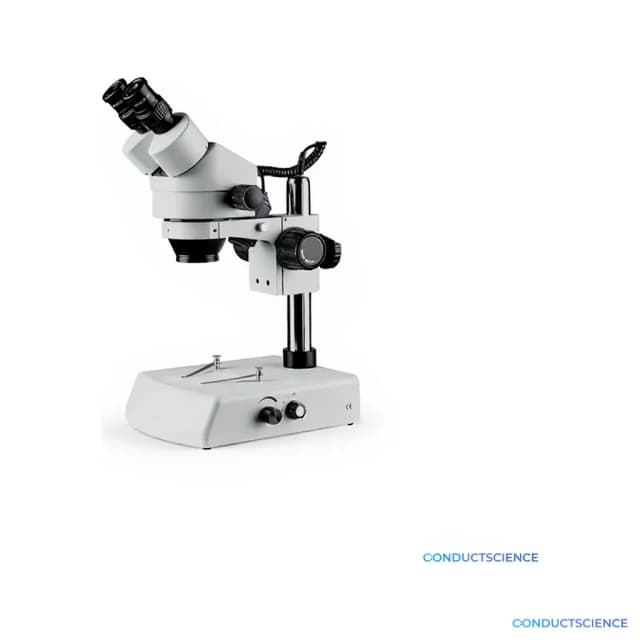 Stereo Microscope