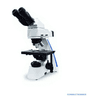 Fluorescence Biological Microscope