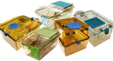 IVC cage boxes for laboratory rodent housing