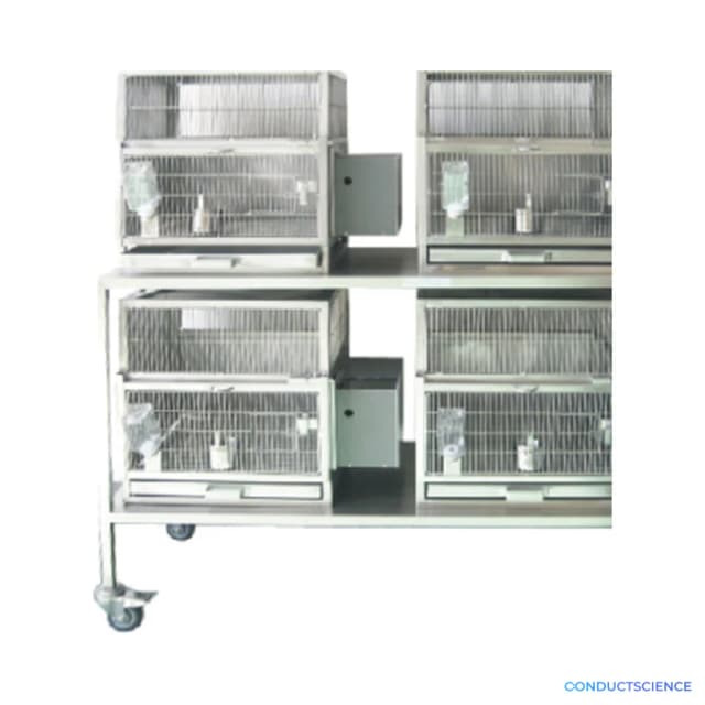 Tree Shrew Cage Rack
