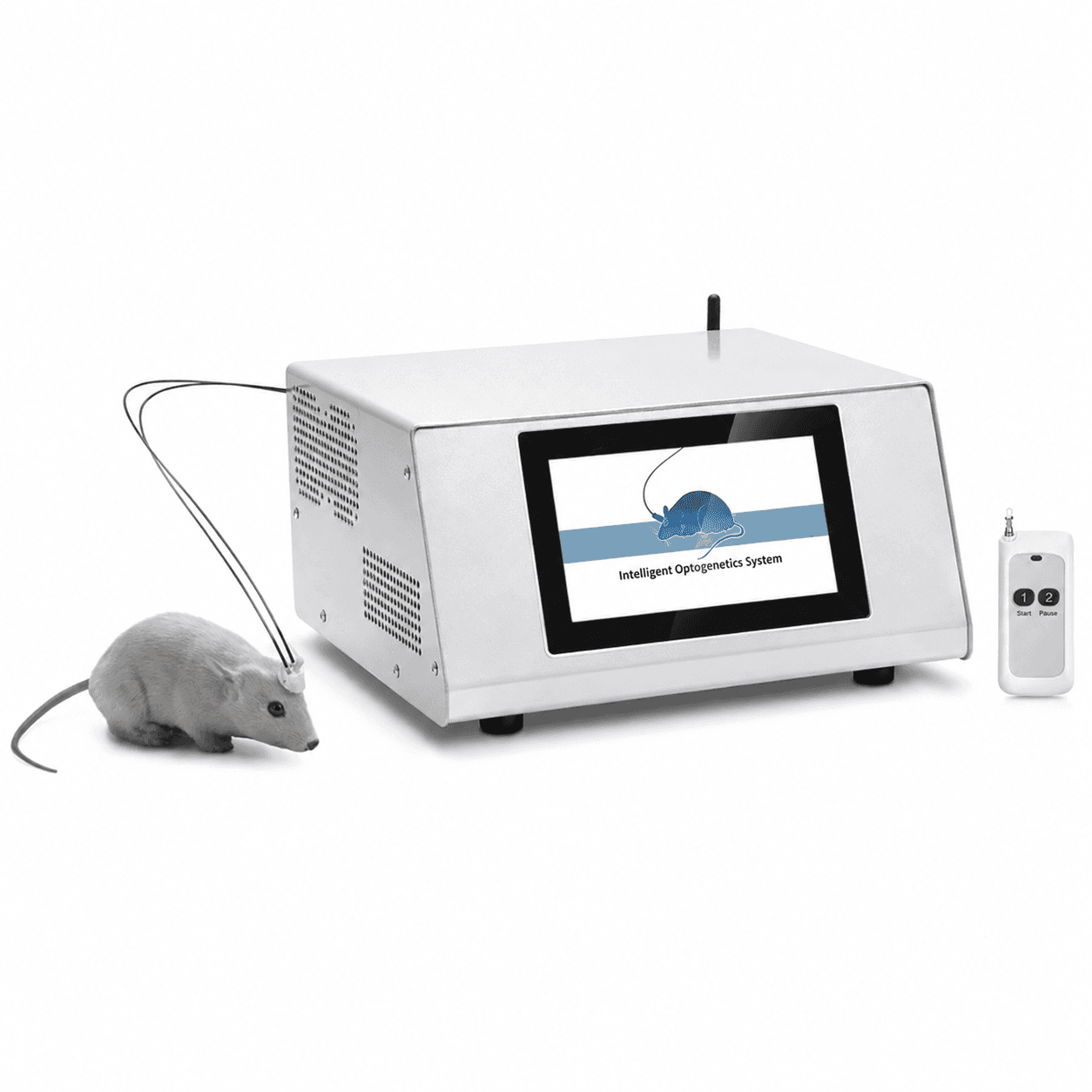 Rodent Optogenetics Laser Stimulation