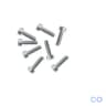 EEG Screws for Rodent Electrode Implantation