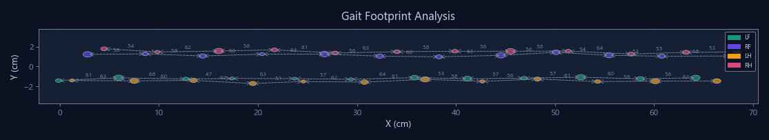 Catwalk Treadmill Gait