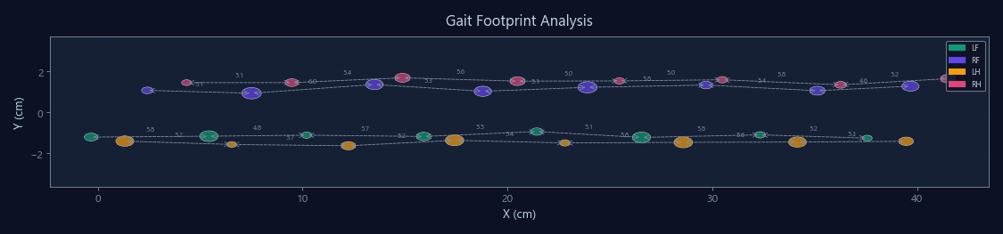 Gait Analysis