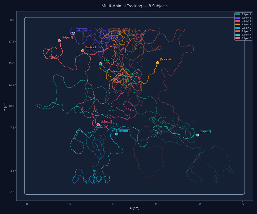 Multi-Animal Tracking