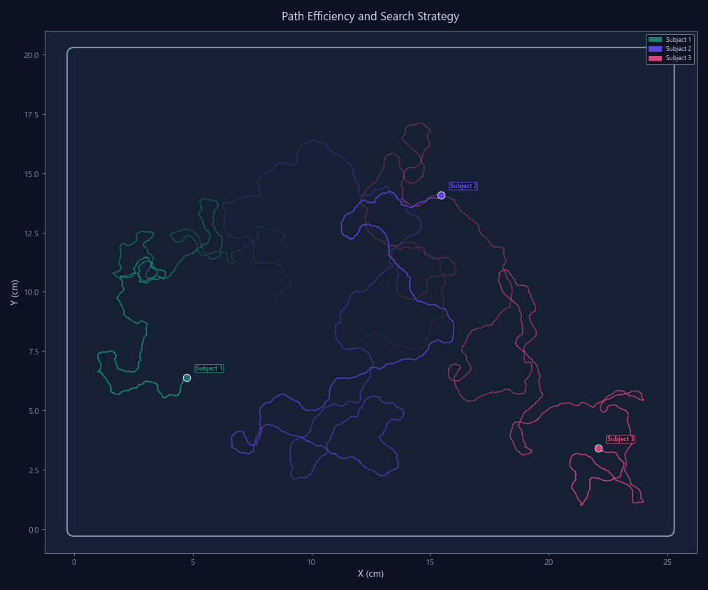Path Efficiency and Search Strategy