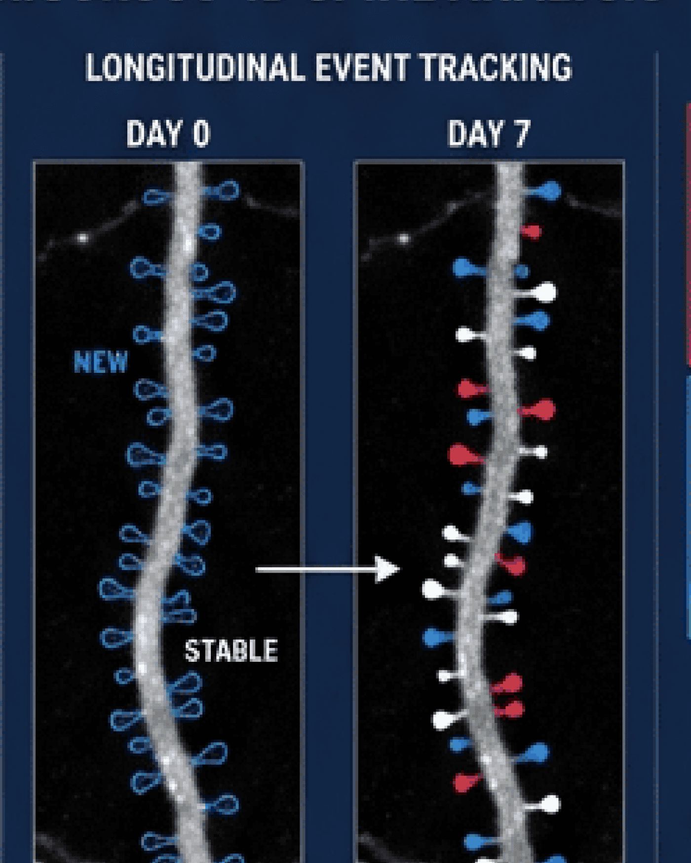 Longitudinal Event Tracking