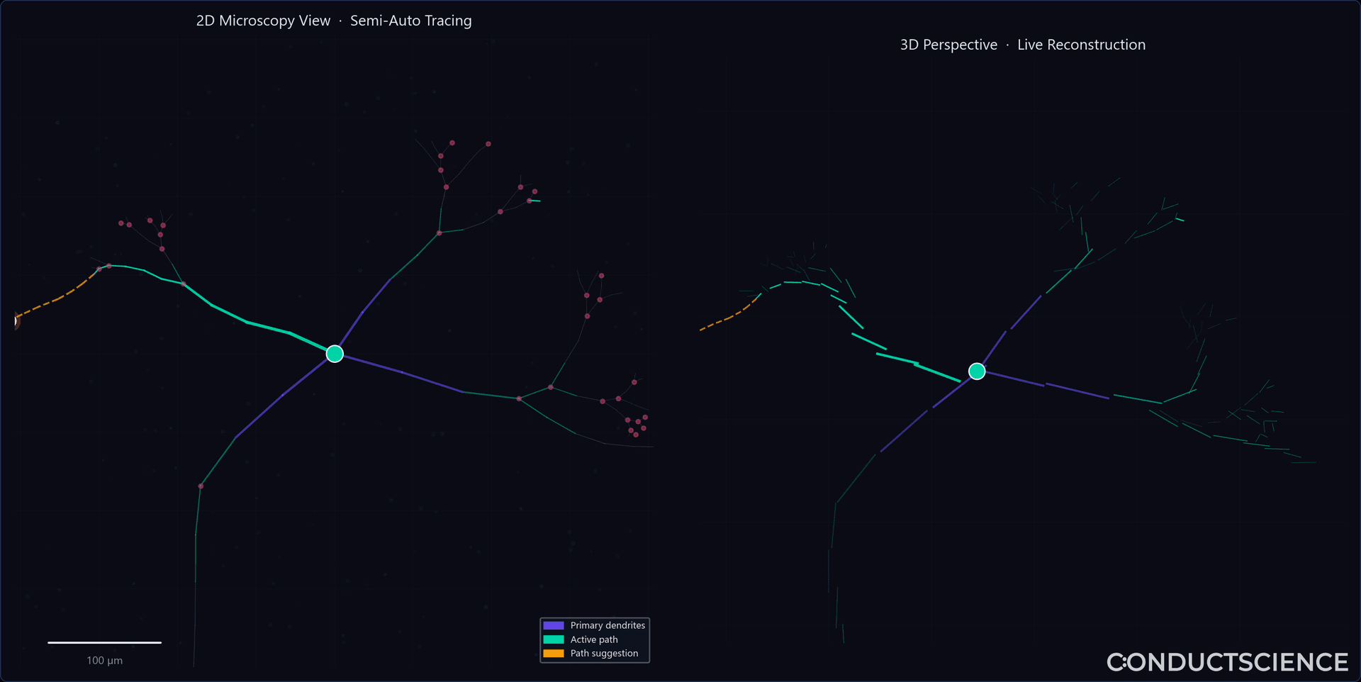 Tracing Workspace