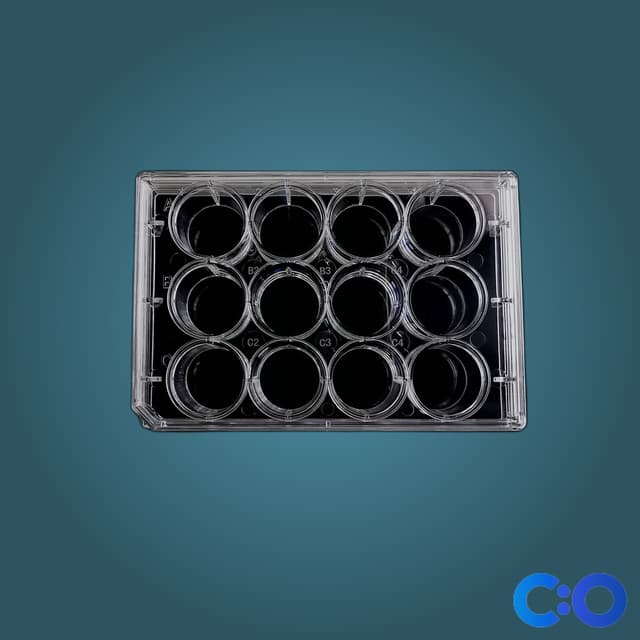 ConductScience Deep Well Plates, 96-Well, 2.2mL, Square Well (Case of 5) - General Labware