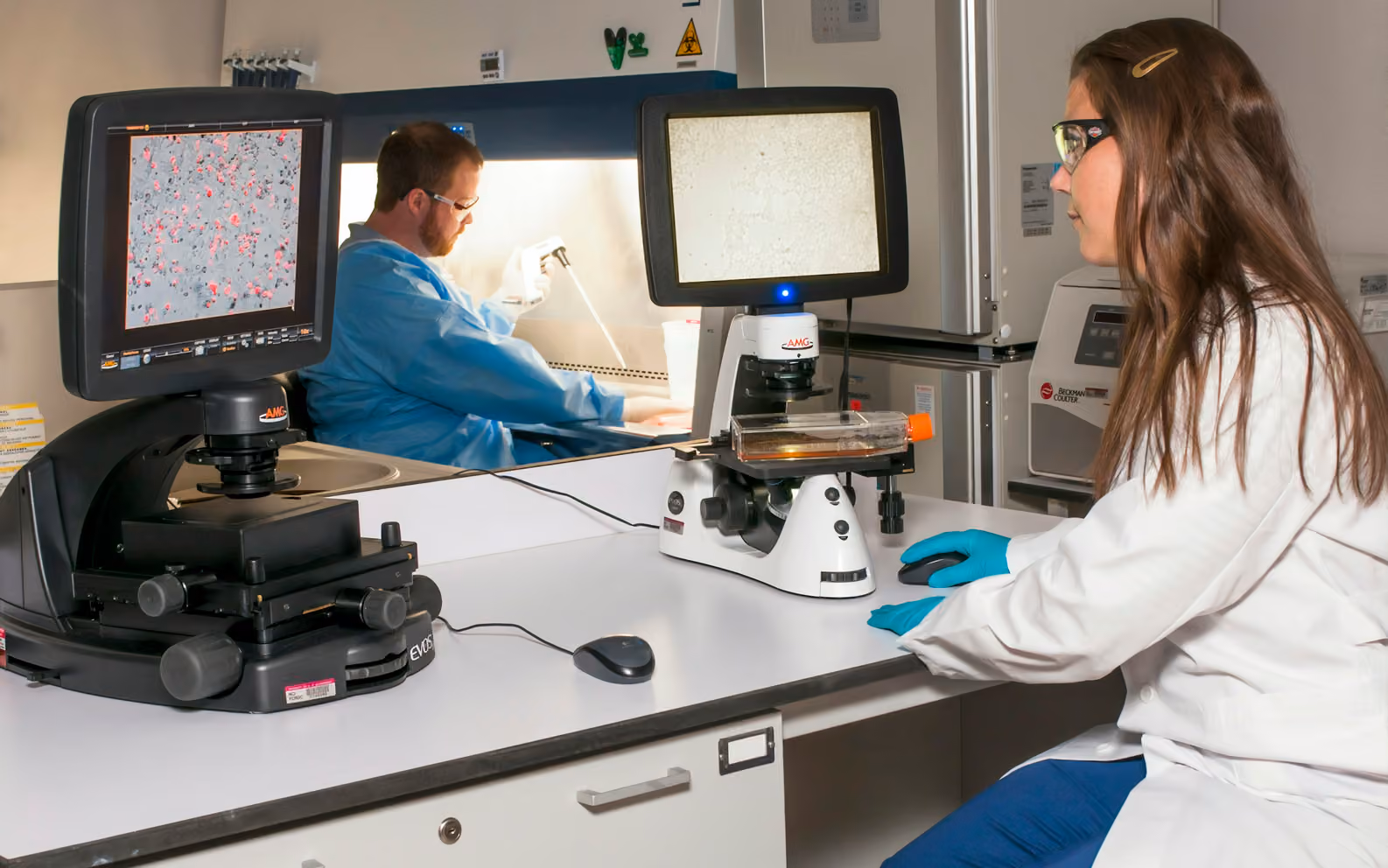 Two technicians at a shared bench, one viewing a blot on a fluorescence microscope, the other pipetting