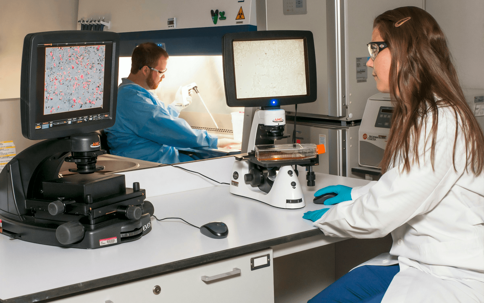 Two technicians at a shared bench, one viewing a blot on a fluorescence microscope, the other pipetting