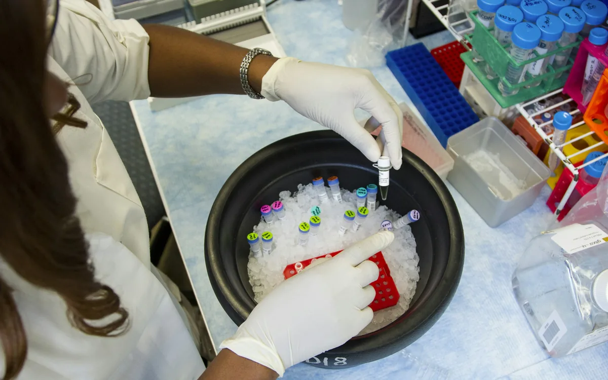 Researcher setting up genetic samples and primers for PCR at the lab bench