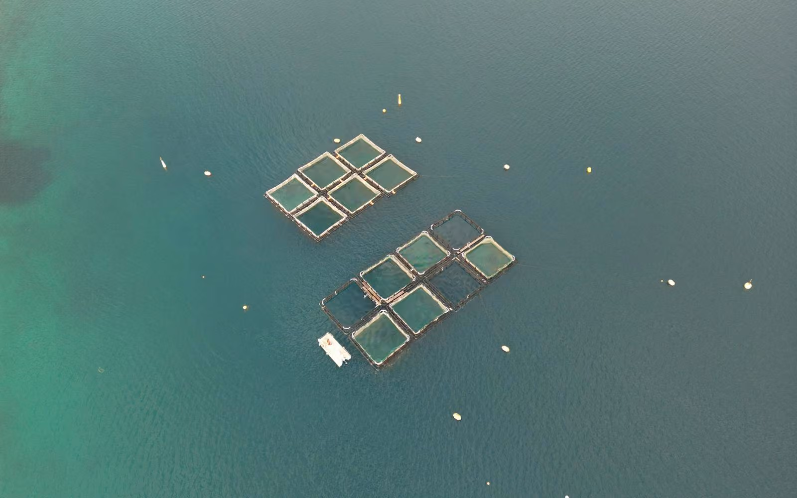 Aerial view of managed aquaculture pens in open water