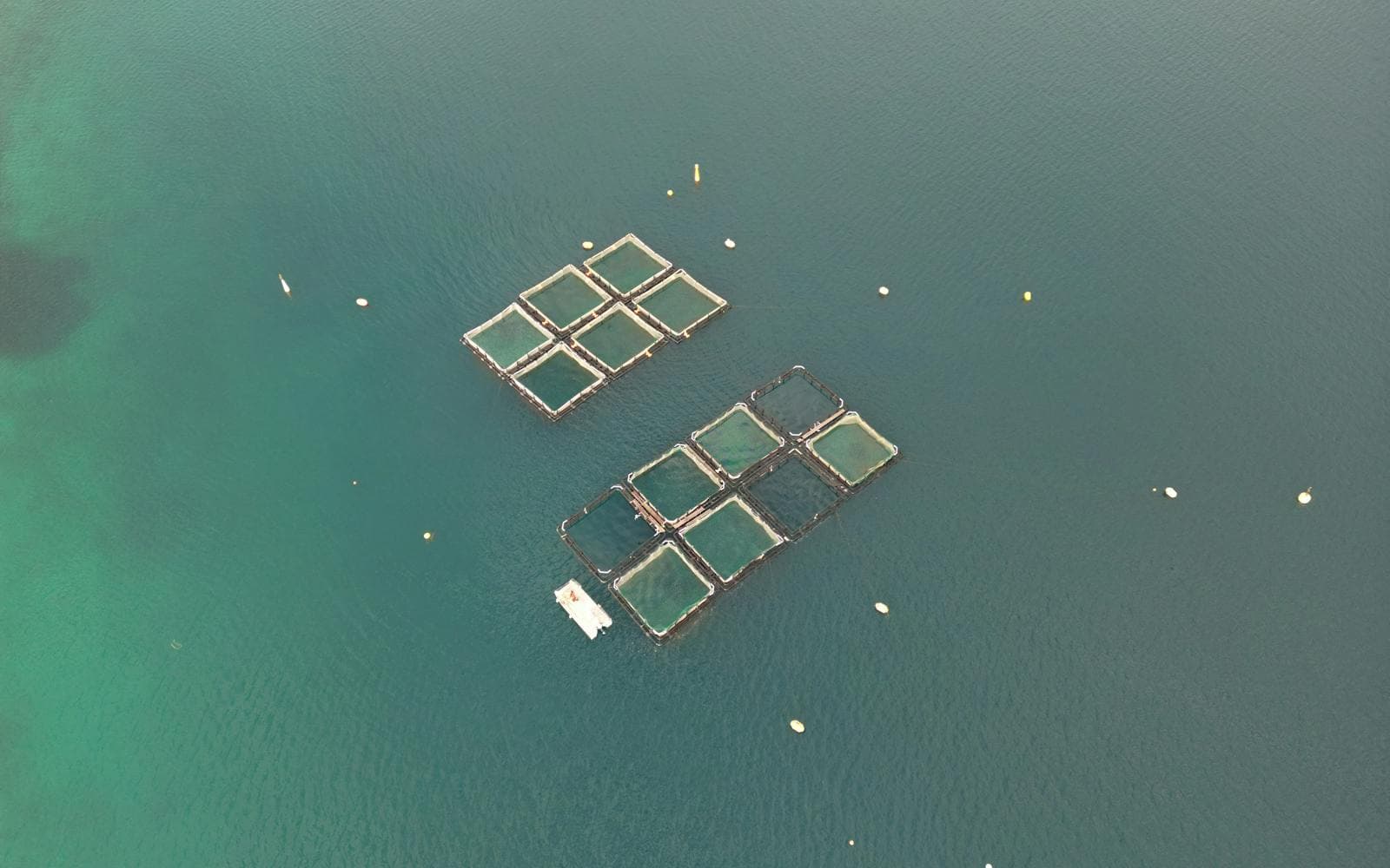 Aerial view of managed aquaculture pens in open water
