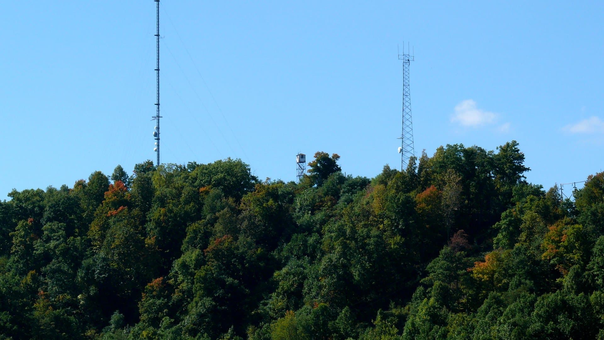 Forestry & Natural Resources