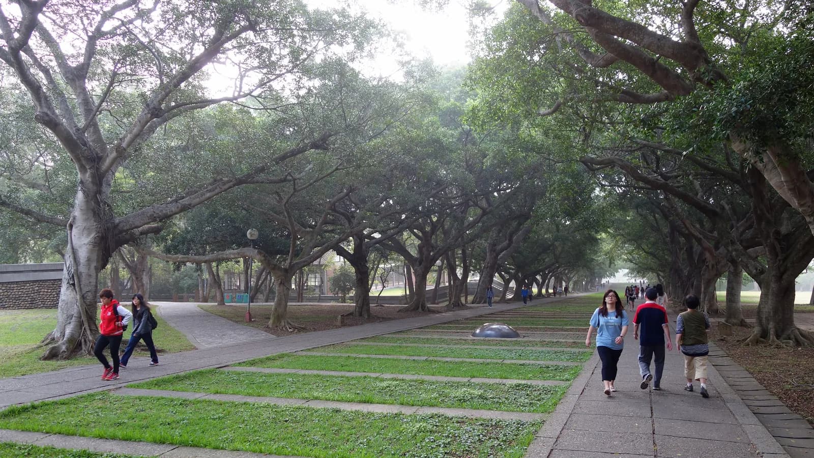 People walk along the shaded Wenli Boulevard at Tunghai University in Taichung, Taiwan; boxes mark 16 people and 1 backpack.