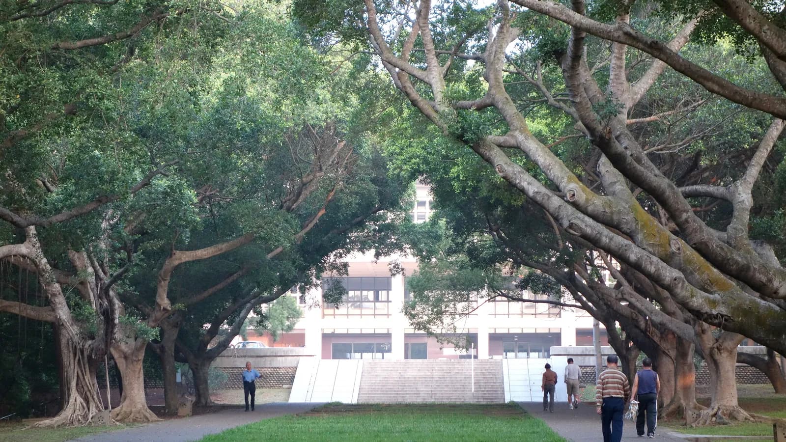 Walkers pass under large shade trees on the boulevard leading to the library at Tunghai University in Taichung, Taiwan; boxes mark 5 people.
