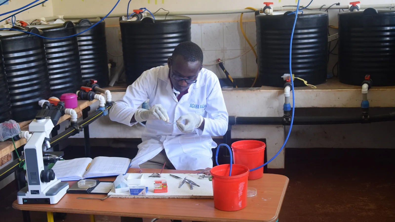 A scientist in a lab coat and gloves works at a bench beside a microscope, with large water tanks behind him; a box marks the scientist.