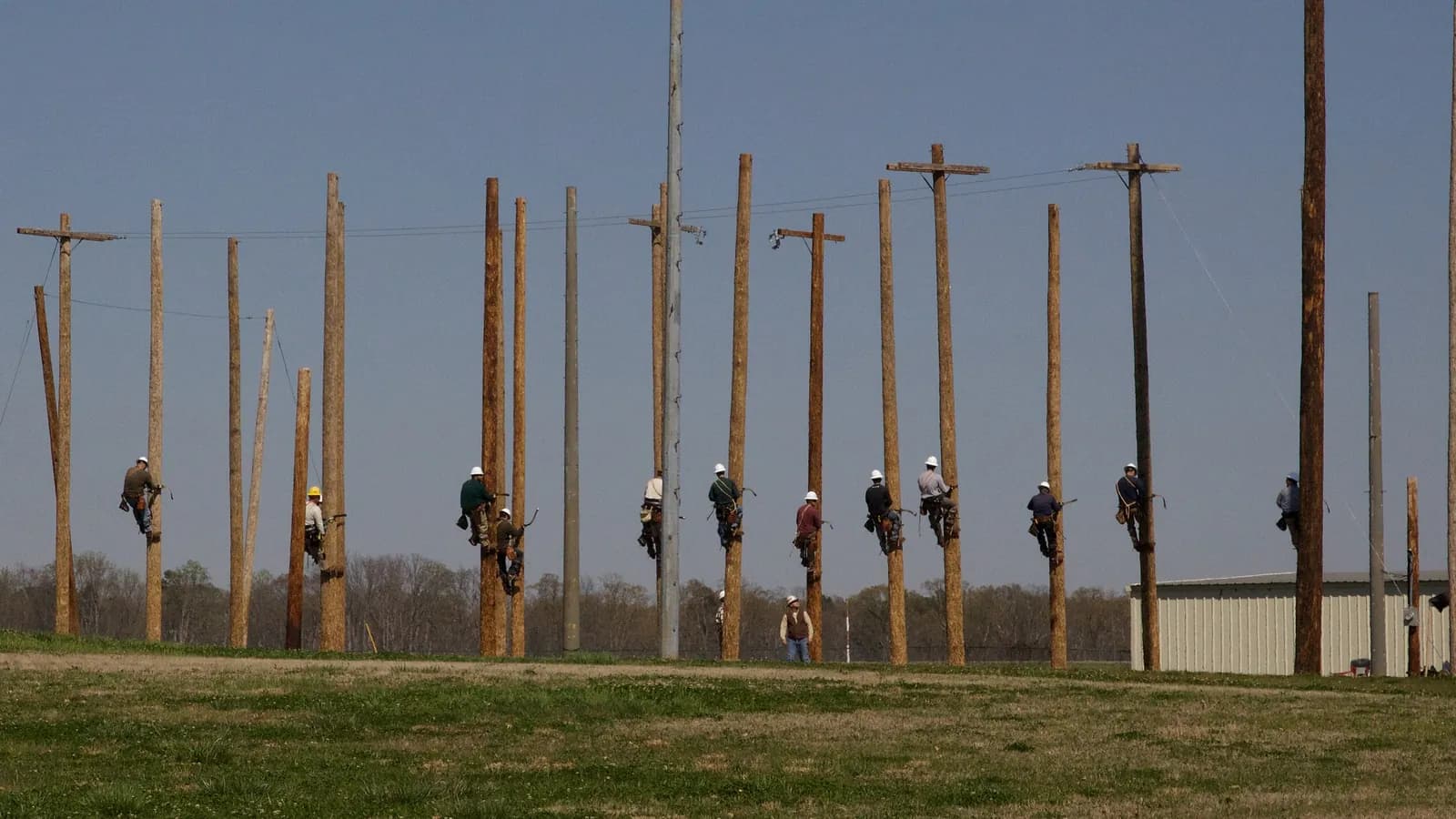 Trainee line workers climb rows of wooden utility poles at a lineworker training school in Alabama; boxes mark 11 people and one hard hat.