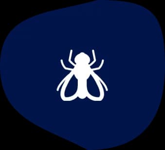 Insect & Arthropod