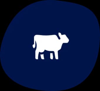 Mammalian