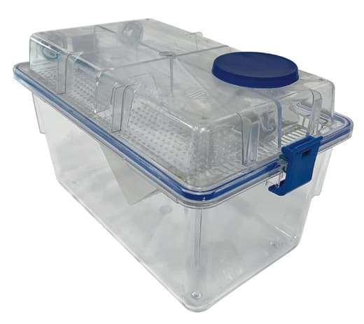 Rat IVC cage with ConductScience fallback image
