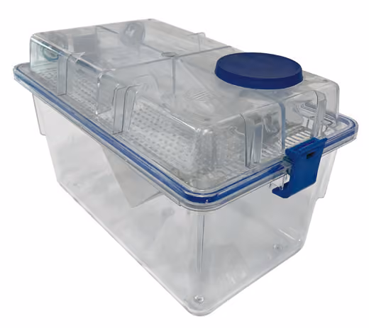 Rat IVC cage with ConductScience fallback image