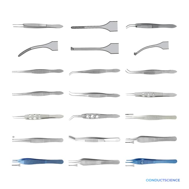 Fine Surgical Tweezers for small-animal dissection and tissue handling on a white background with ConductScience watermark