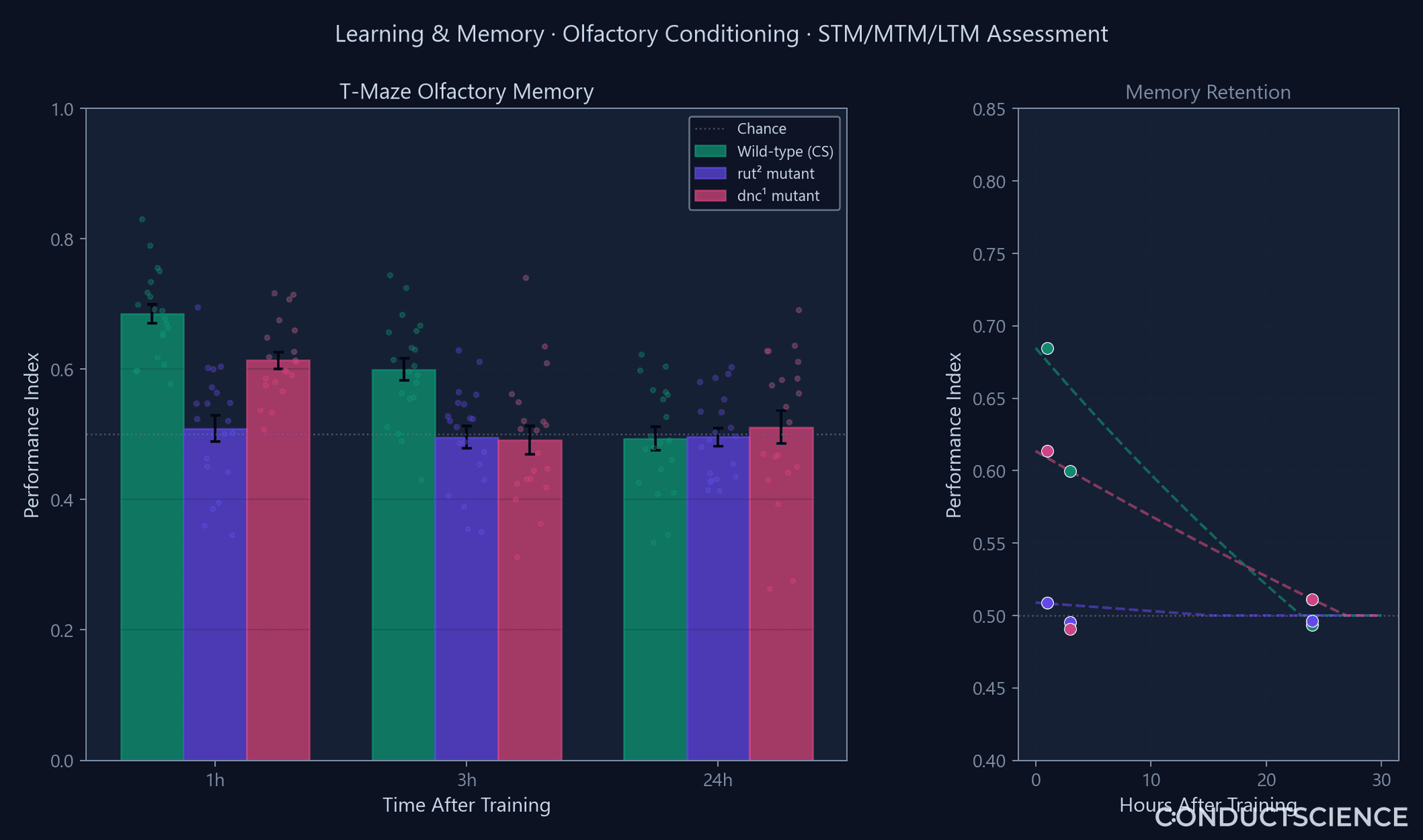 Learning & Memory — ConductVision Drosophila tracking