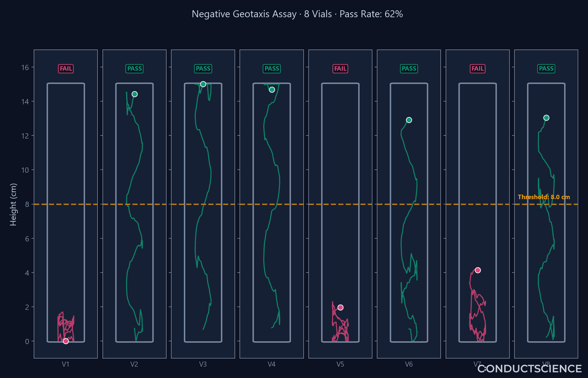 Negative Geotaxis Scoring — ConductVision Drosophila tracking