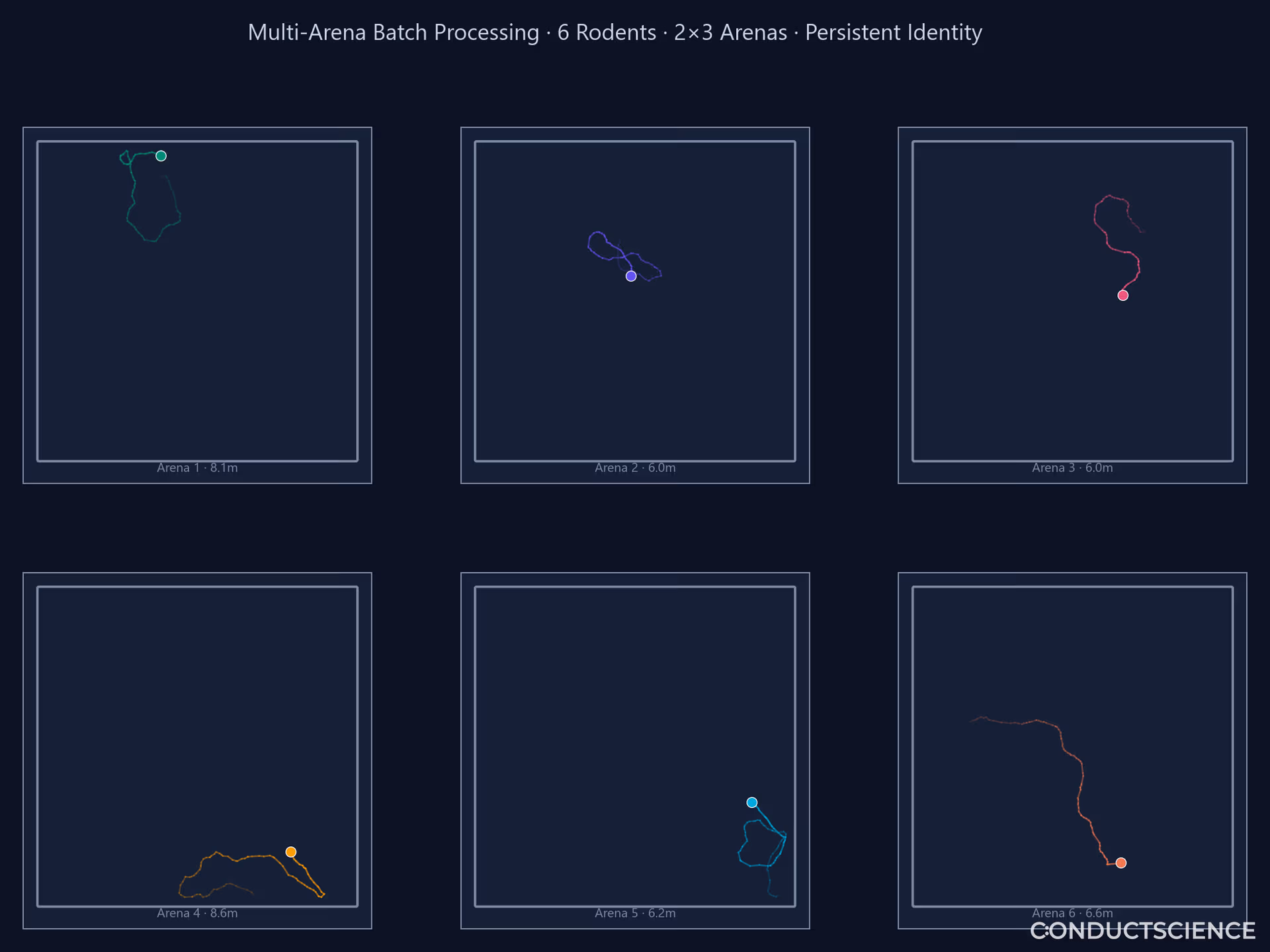 Multi-Arena Batch Processing