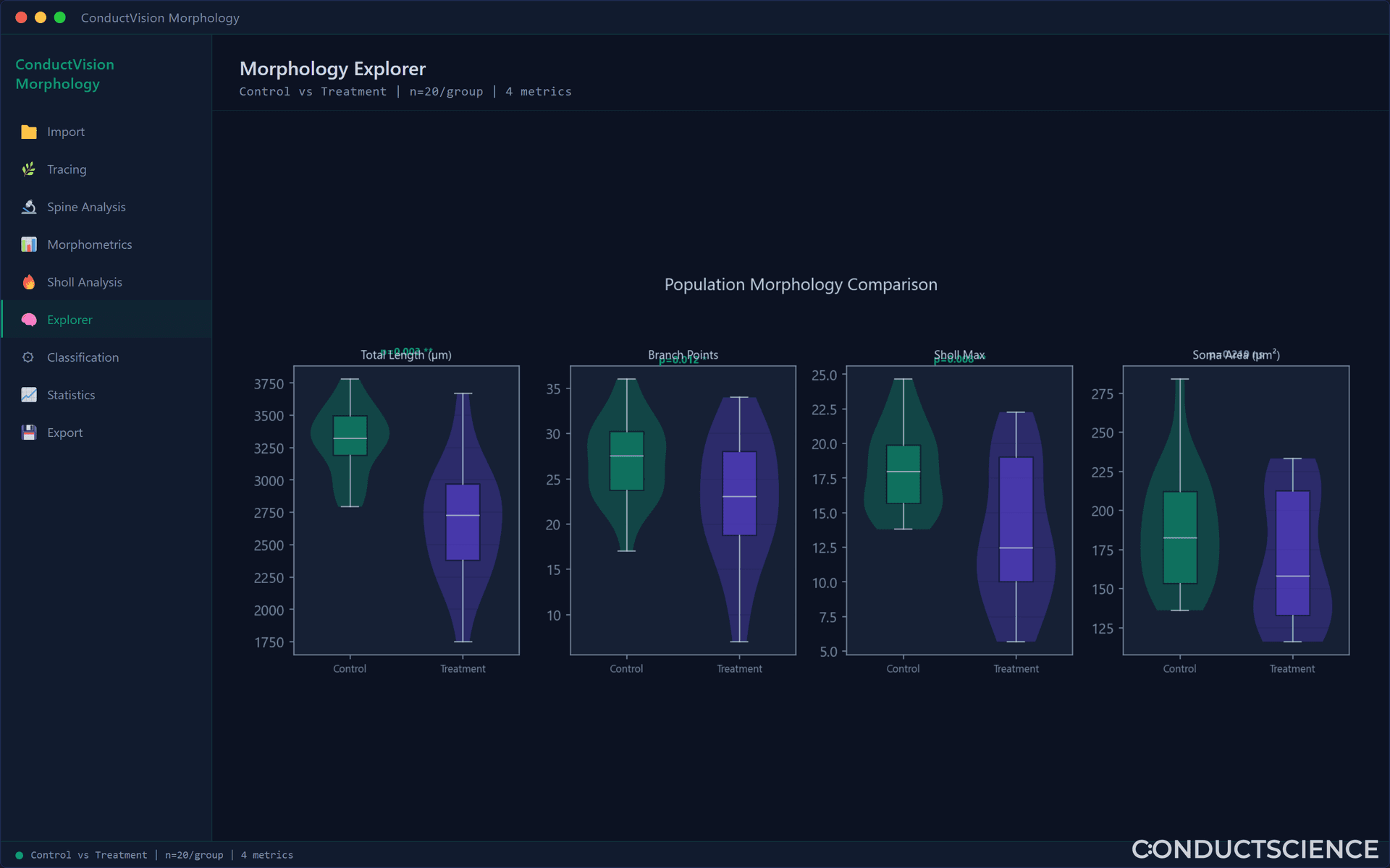 Morphology Explorer